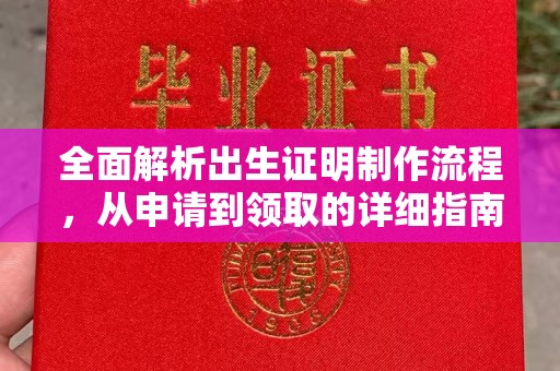 横峰全面解析出生证明制作流程，从申请到领取的详细指南