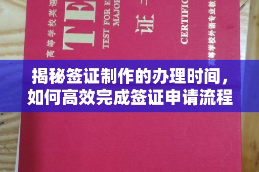 横峰揭秘签证制作的办理时间，如何高效完成签证申请流程