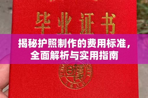 横峰揭秘护照制作的费用标准，全面解析与实用指南